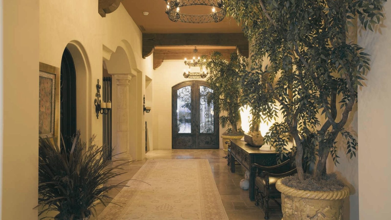 Indoor plants placed near the entrance of a living room.